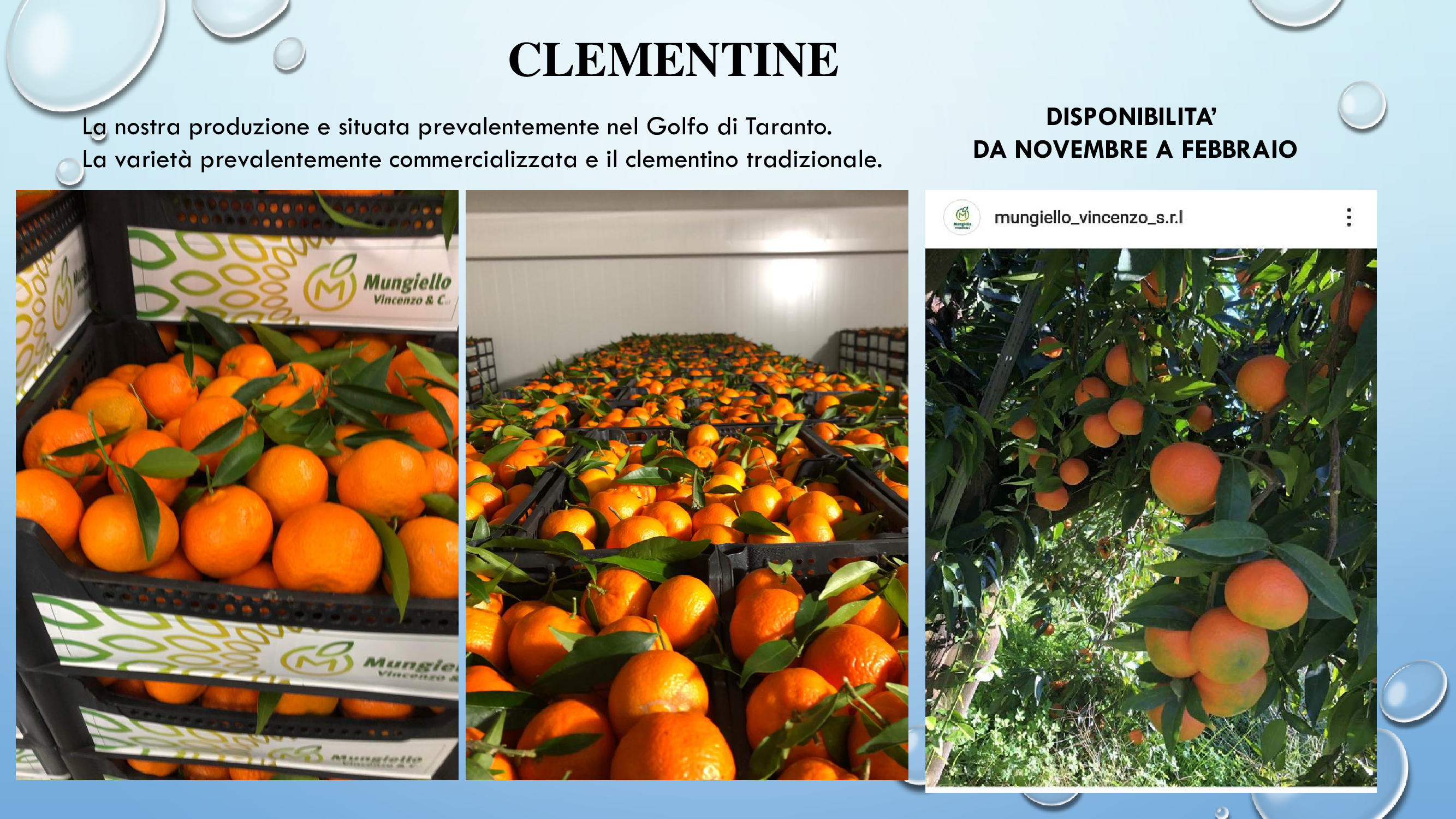  clementine